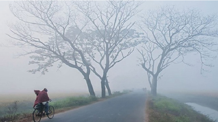 সর্বনিম্ন তাপমাত্রা তেতুলিয়া 