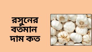 রসুনের দাম কেজিতে বেড়েছে ৬০ টাকা