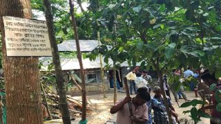 'নাতনিটা আজ বাড়ি আসবে বলছিলো, আমি এখন তার জন্য কবর খুঁড়ি'